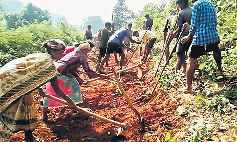 As many as 180 tribals took up works on Monday to lay temporary roads, covering  10 km between Gummanti Road & Palabandhi via Rachakalam on Monday | Express