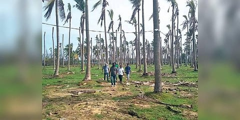 Soil fertility in about 25 km land affected due to unrestrained sand mining in 3 mandals of Konaseema