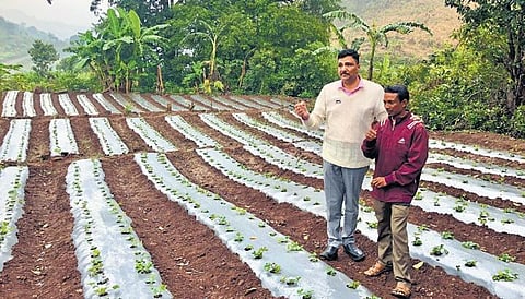 Agriculture production cluster in Kotia soon: Arabinda Padhee