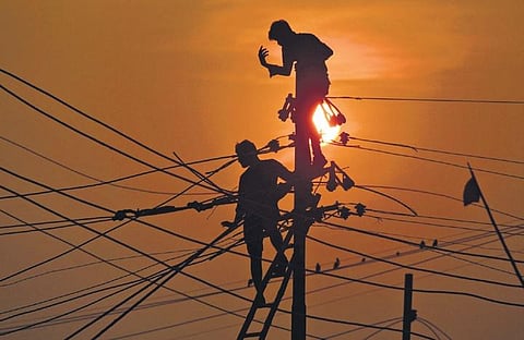 15,000 more farmers to get free power connections before Pongal: TN Minister Senthil Balaji