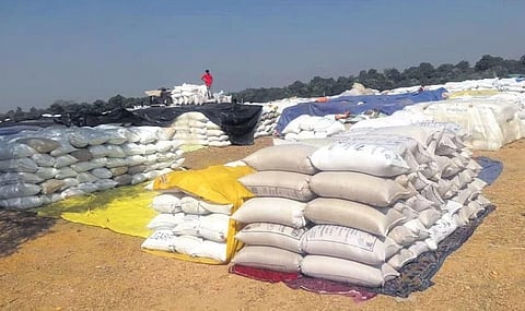 Bags of paddy lying in the open at a mandi 