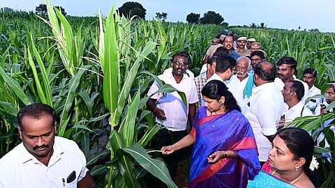 MP Kanimozhi Karunanidhi meeting  the farmers along with social welfare minister Geetha Jeevan, collector Dr Senthil Raj, and Kovilpatti chairman Karunanidhi.