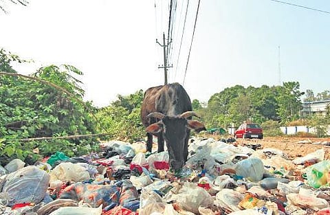 Kalamassery’s waste collection goes ‘smart’