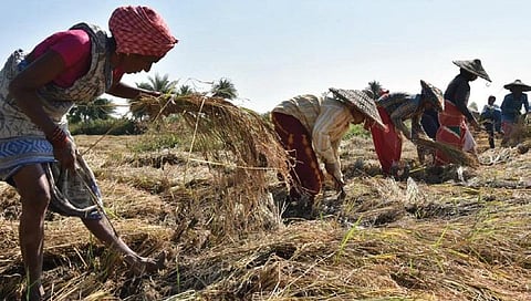 Image used for representational purposes only( Photo | Express)
