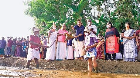 Panchayat official launching the paddy cultivation at Manikkal | Express