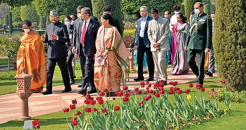 President Ram Nath Kovind with CJI N V Ramana and other SC judgesin Mughal Gardens on Saturday, Feb 19, 2022. (Photo | PREZ house)