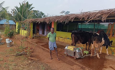 Shivakumar took dairy farming after losing his job as a lecturer amindst the Covid-19 pandemic. (Photo | Express)