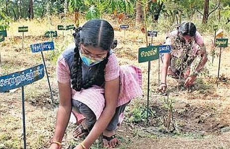 NGNG school students sowing seeds at Pollachi, Coimbatore | U Rakesh Kumar