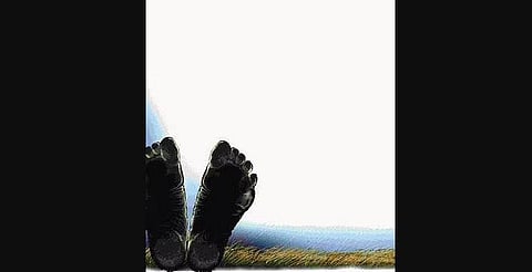 Image used for representational purpose only.