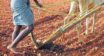 Image used for representational purposes (File photo | Express)