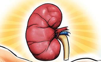 Nephrologists point to rising paediatric cases 