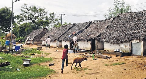 A view of a Irular tribal hamlet in Vittilapuram village. (Photo | Debadatta Mallick, EPS)