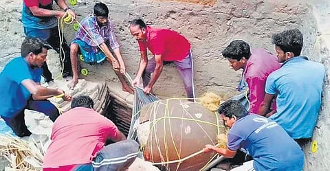 TN Budget: State traces its roots, sanctions funds for Korkai port, tribal museum, dictionary