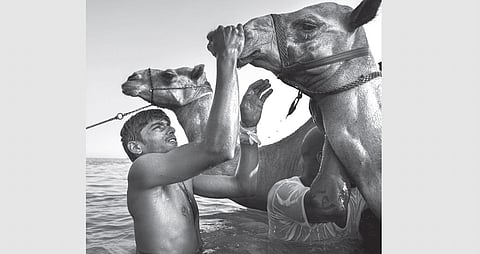 From UAE villages, this Kerala man emerges as award-winning photographer