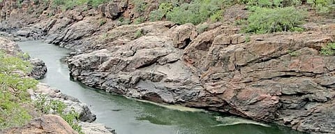 There has been a long running dispute between Karnataka and Tamil Nadu concerning the Mekedatu project. Karnataka, in recent months has seen rising clamour for the project's realisation. (Photo | EPS)