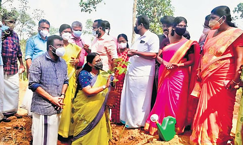 MLA IB Sathish and Nava Keralam project coordinator TN Seema at the inauguration of Rambutan planting
