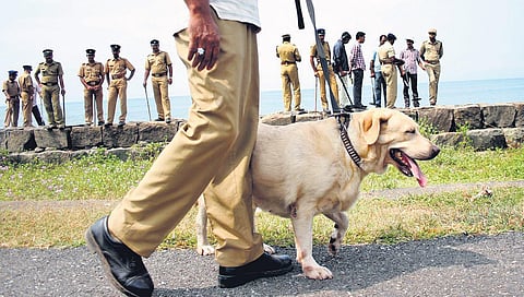 A police dog