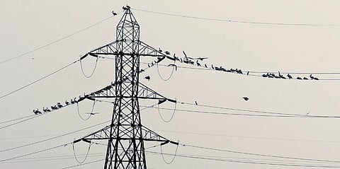 More funds needed to power Tangedco