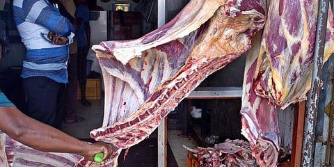 Slaughterhouse, Representational image  (Photo | EPS)