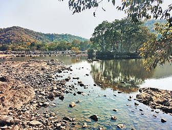 Microplastics in Cauvery affecting fish: IISc study
