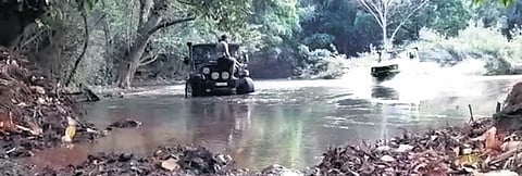 A video grab of tourists in the stream of the Bhadra Tiger Reserve
