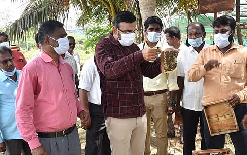 Nagapattinam Collector A Arun Thamburaj viewing honey bees reared in a coconut grove on ICR-KVK premises in Nagapattinam district on Tuesday | Express