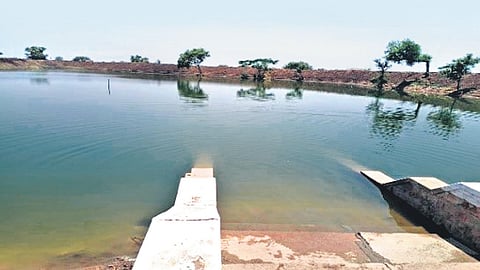 Till now, 378 lakes across the state have been rejuvenated