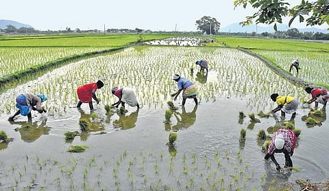 Image used for representational purpose only. (Photo | Express)