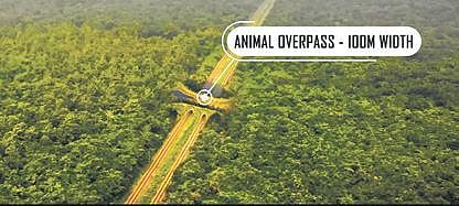 Odisha’s first animal overpass to come up in Kapilash
