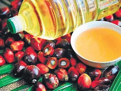 Palm oil (File Photo)