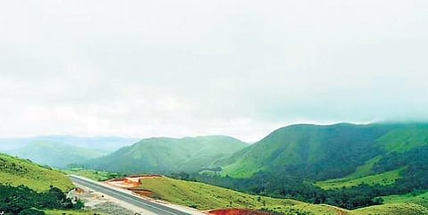 Wildlife board clearance must for airstrip: Tiger conservation panel