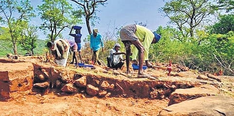 The research team at Biligiri Rangaswamy Temple Hills | Express