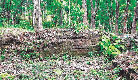 The neglected compound in memory of Mannanar dynasty. There was a building there that crumbled down  years ago