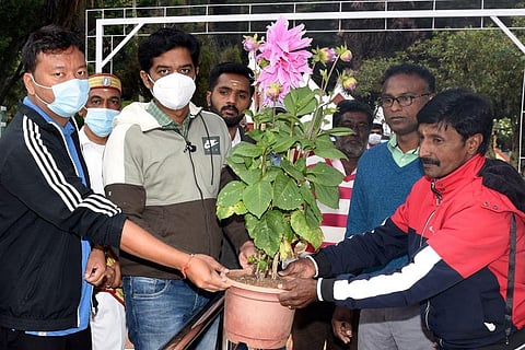 Flower show preparations in full swing at Ooty's Govt Botanical Garden