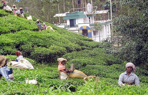Image used for representational purpose only.  (File Photo | EPS)