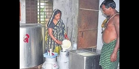 Balangir invests in dairy farming solution for women migrants