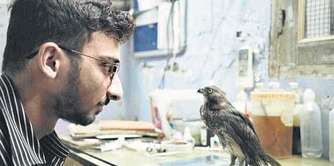 A still from  All That Breathes . (File Photo)