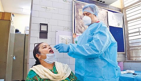 A health worker collects a swab sample of a woman for Covid-19 test, at state transport bus stand, in New Delhi on Friday (Photo | Shekhar Yadav)