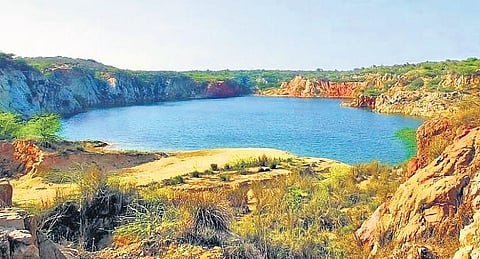 A view of the Asola-Bhatti Mines forest area.