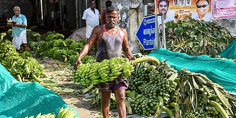 Price of one bunch, which was sold at `200 until the end of May, shot upto Rs 600 in two weeks.