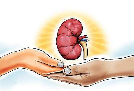 Image for representational purpose only. (Express Illustrations)