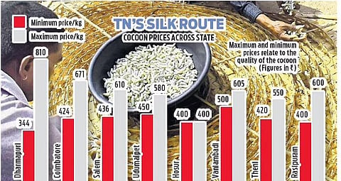 TN's silk route: Cocoon price up but output down