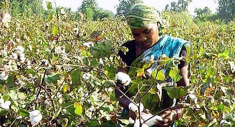 Image used for representational purpose only. (File photo| EPS)