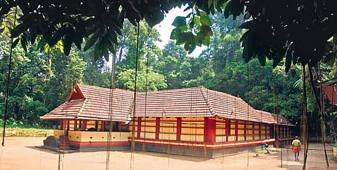 Iringole Kavu near Perumbavoor is one of largest sacred groves in Kerala | A Sanesh