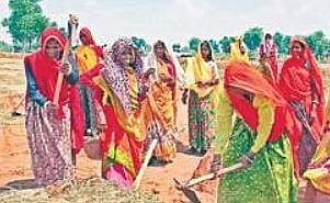 Fifth phase of Palle Pragathi launched