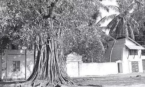 A picture of Ammachiyal taken in 1996 | Boney Keyar