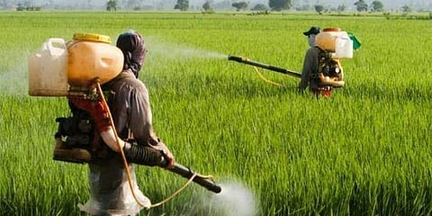 Image used for representational purposes (Photo | PTI)