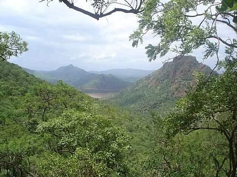 Lush green cover in Ballari's Sandur. (File photo| EPS)