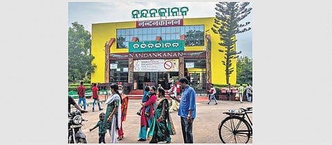 Nandankanan Zoo