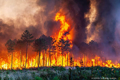 Two people were killed in the blazes in Spain that its prime minister linked to global warming, saying, “Climate change kills.” (Photo | AP)